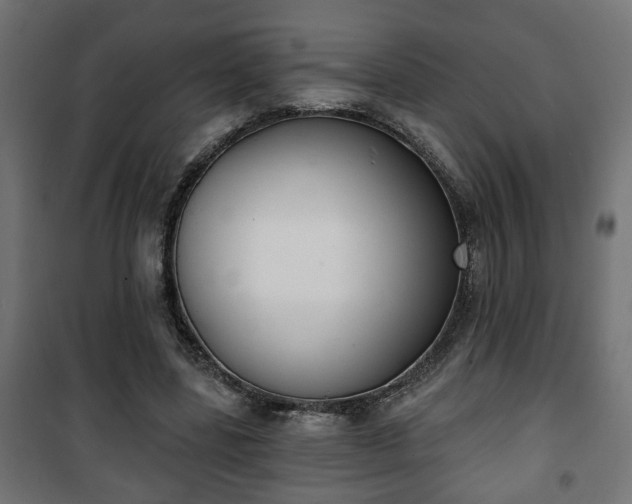 X0000101200539200807071316
