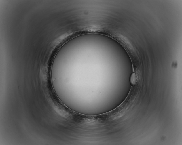 X0000101200540200807071316