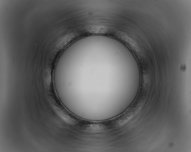 X0000101200541200807071316