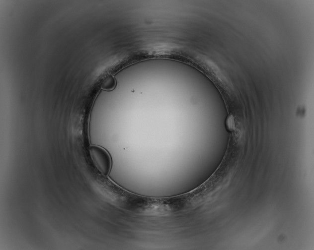 X0000101200543200807071316