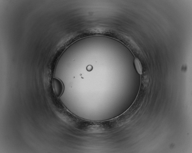 X0000101200544200807071316