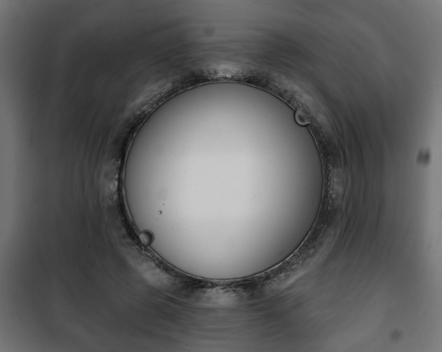 X0000101200545200807071316