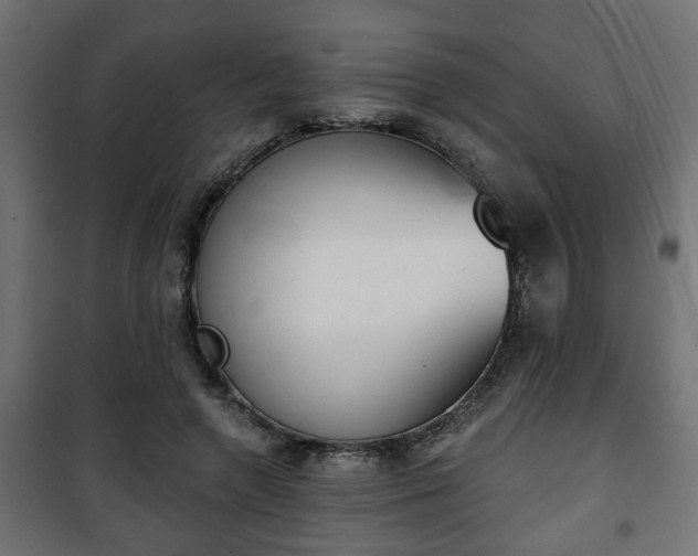 X0000101200546200807071316