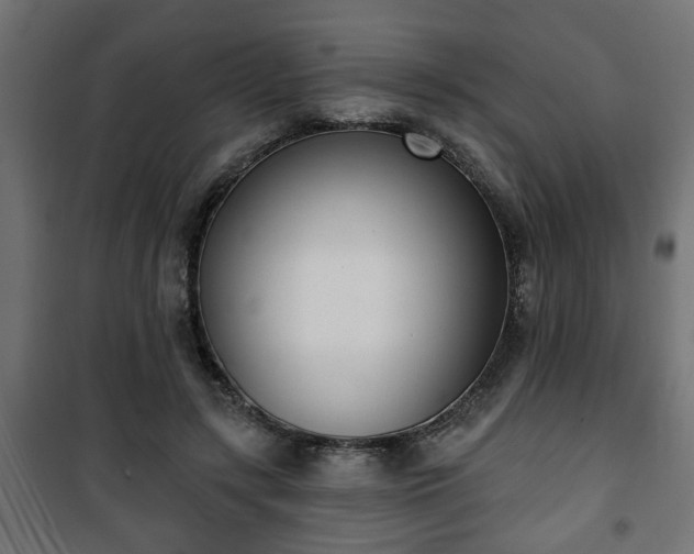 X0000101200547200807071316