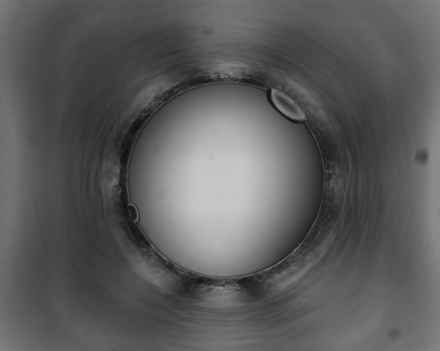 X0000101200548200807071316