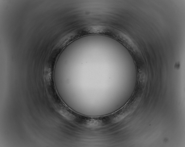 X0000101200549200807071317
