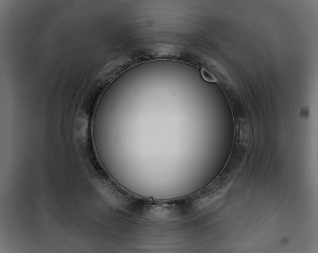 X0000101200550200807071317