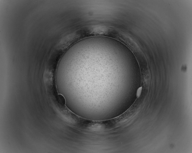 X0000101200551200807071317