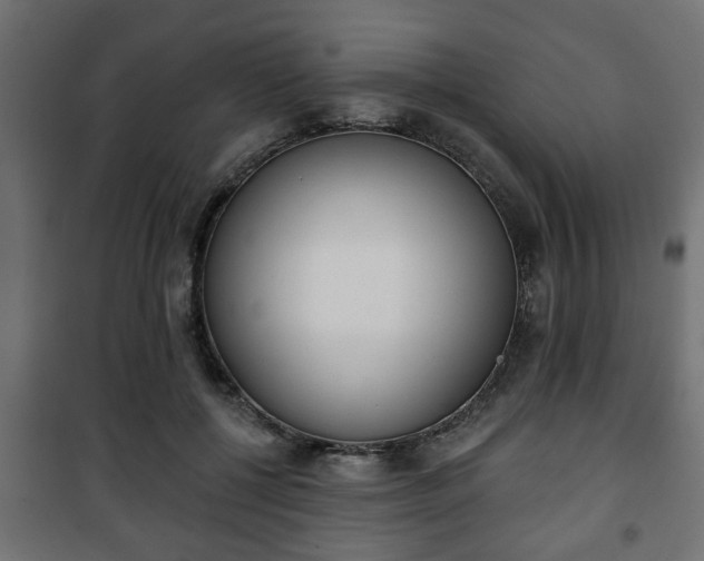 X0000101200552200807071317