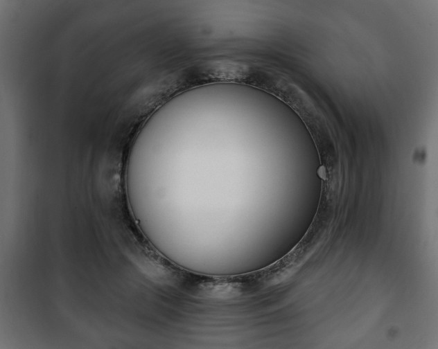 X0000101200553200807071317