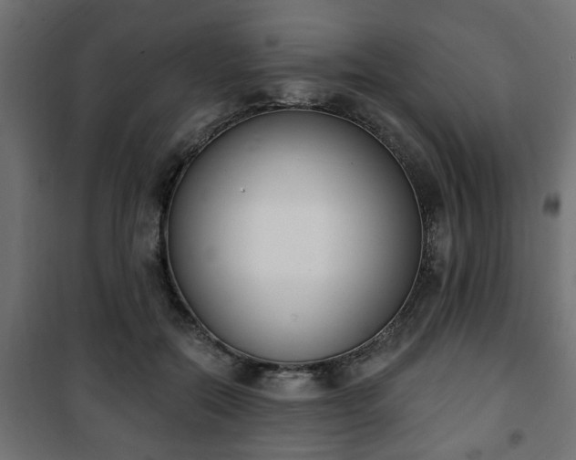 X0000101200554200807071317