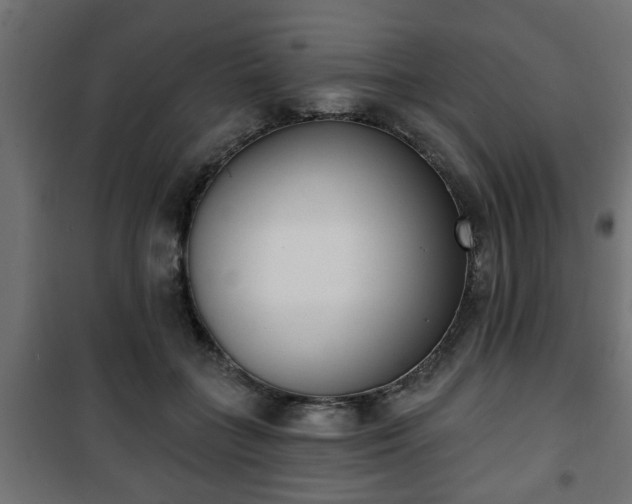 X0000101200555200807071317
