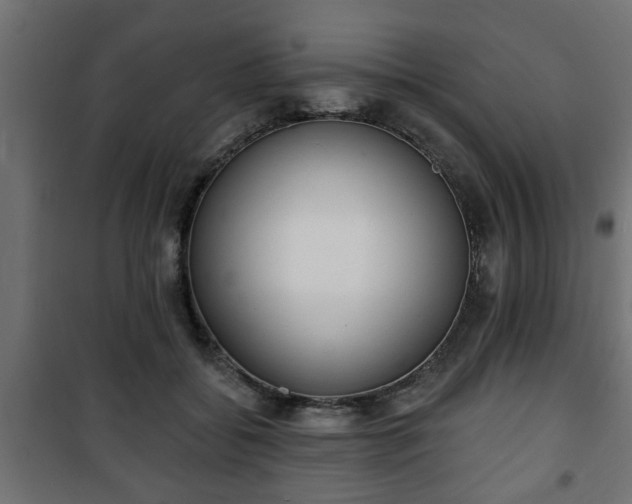 X0000101200556200807071317