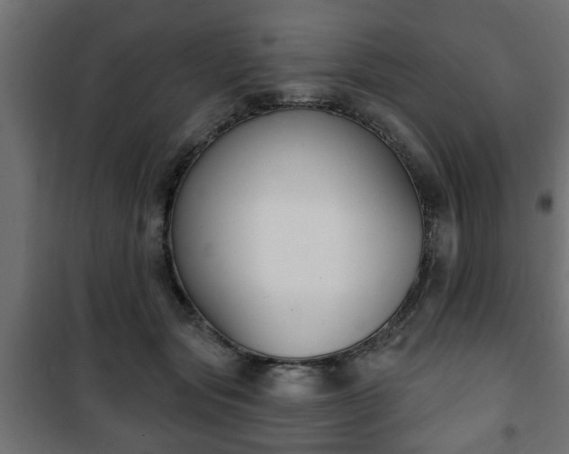 X0000101200557200807071317
