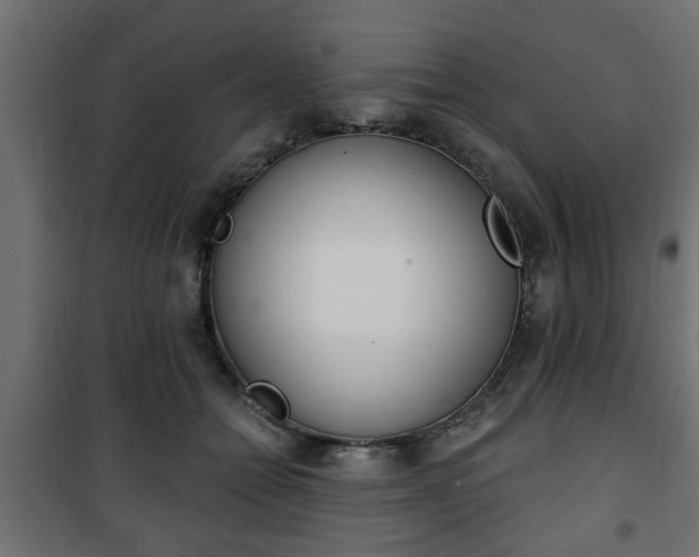 X0000101200558200807071317