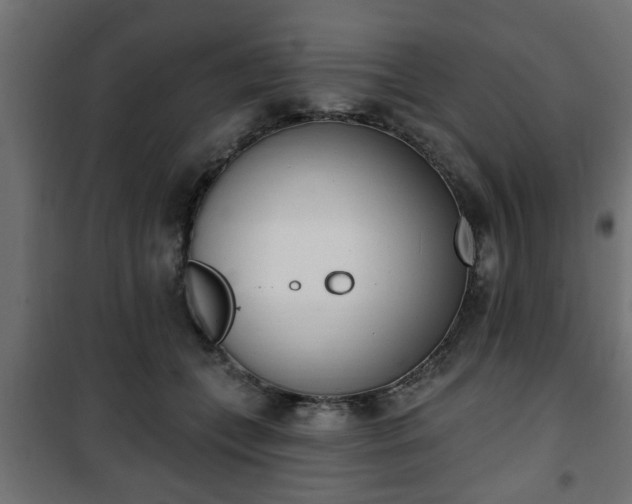 X0000101200559200807071317