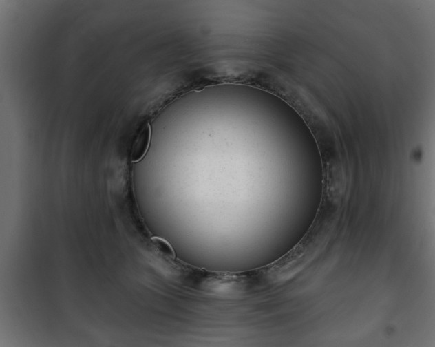 X0000101200563200807071317