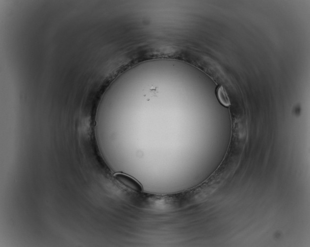 X0000101200564200807071317