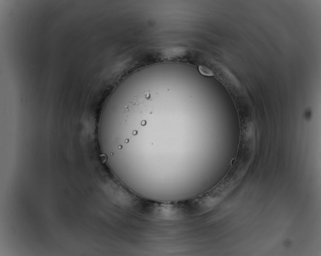 X0000101200565200807071317