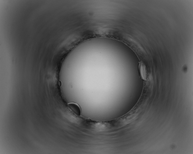X0000101200566200807071317