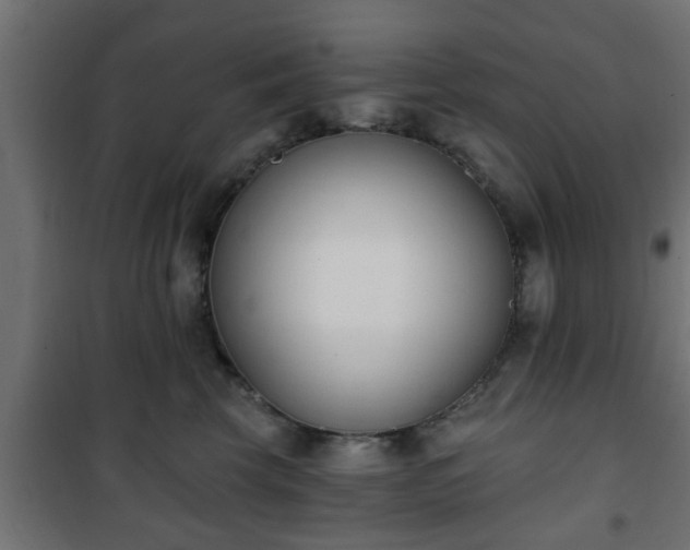 X0000101200569200807071317