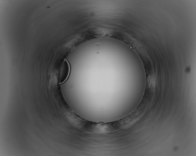 X0000101200570200807071317