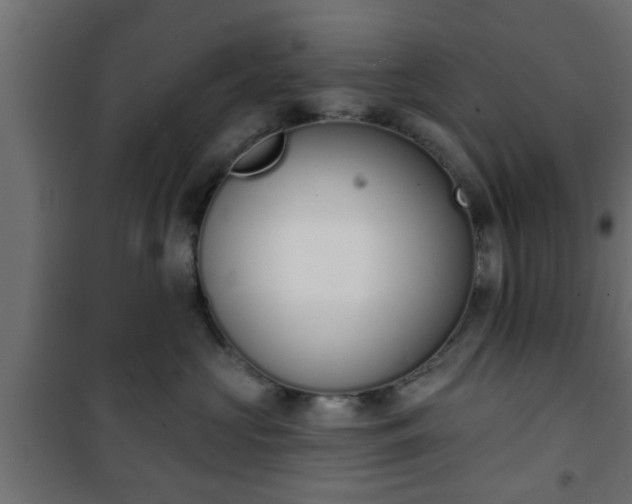 X0000101200573200807071317