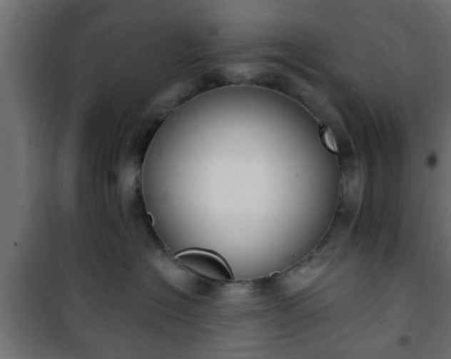 X0000101200574200807071317