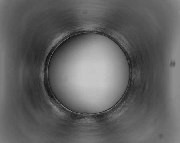 X0000101200578200807071316