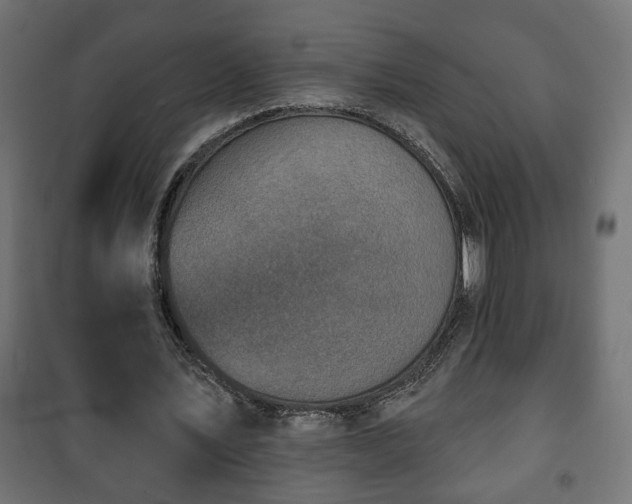 X0000101200579200807071316