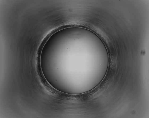 X0000101200580200807071316