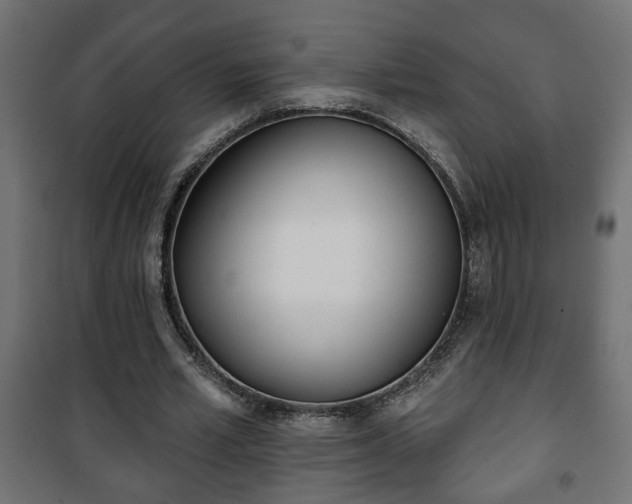 X0000101200581200807071316