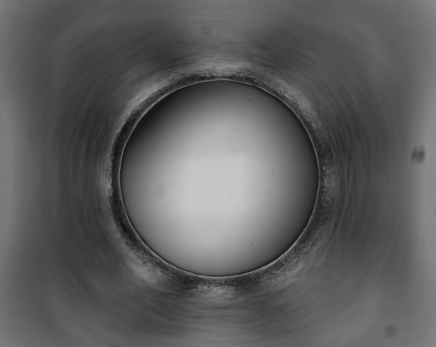 X0000101200582200807071316