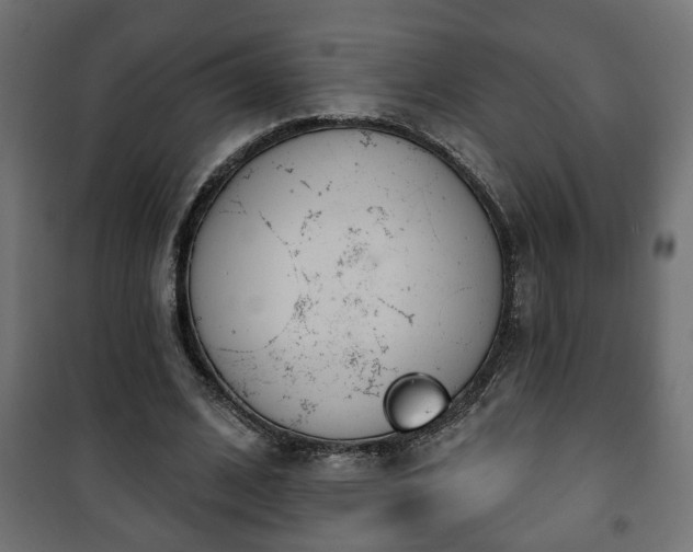 X0000101200584200807071316
