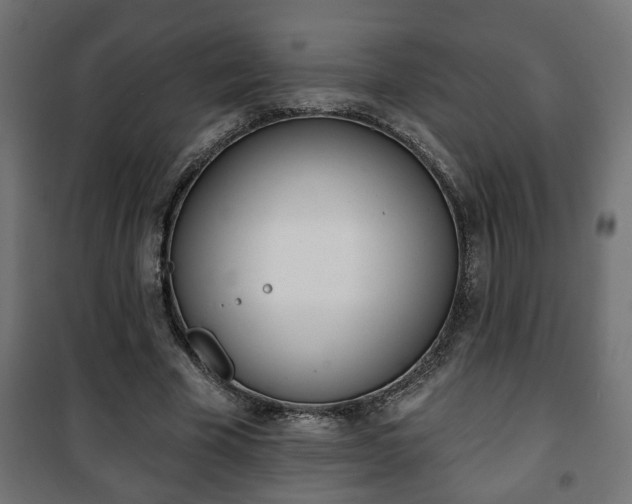X0000101200585200807071316