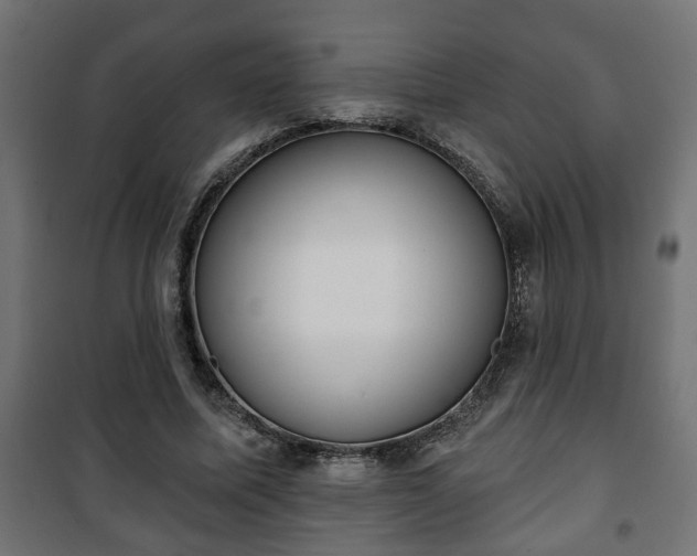 X0000101200587200807071316