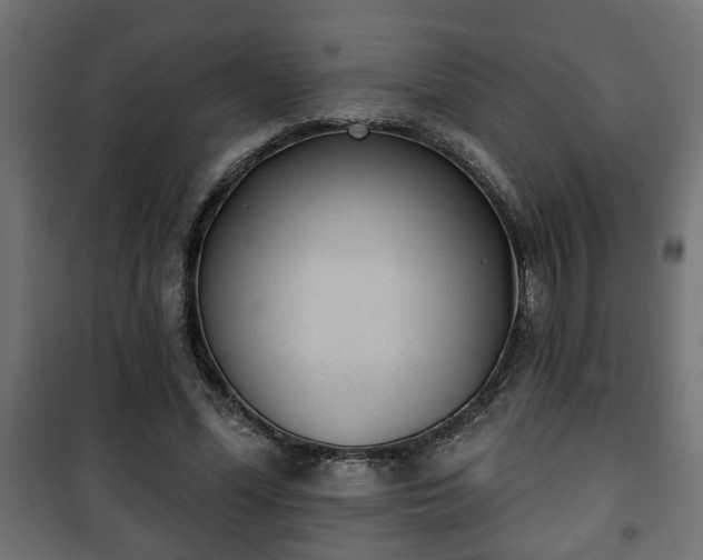 X0000101200588200807071316