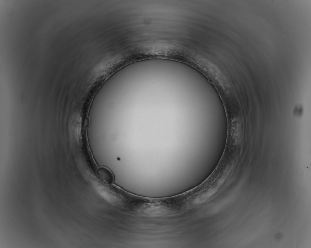 X0000101200589200807071316