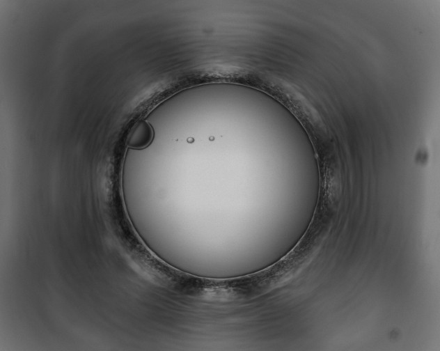 X0000101200591200807071316
