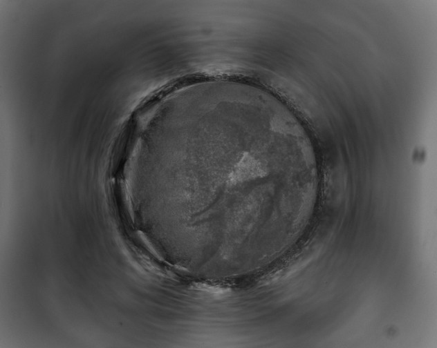 X0000101200592200807071316