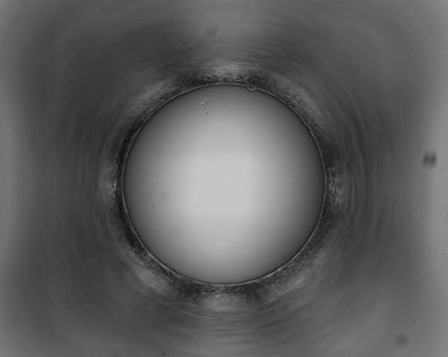 X0000101200593200807071316