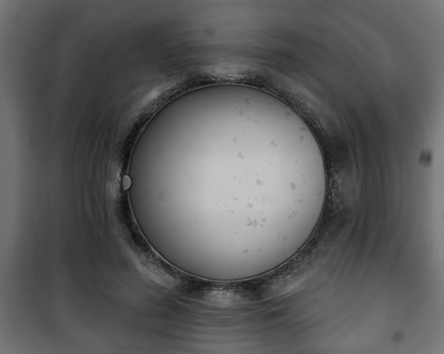 X0000101200596200807071316