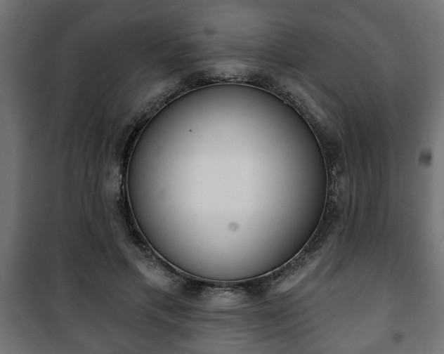 X0000101200597200807071316