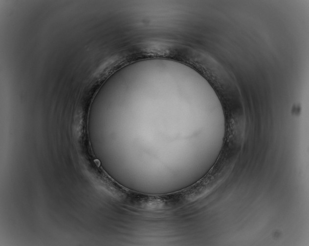 X0000101200600200807071316
