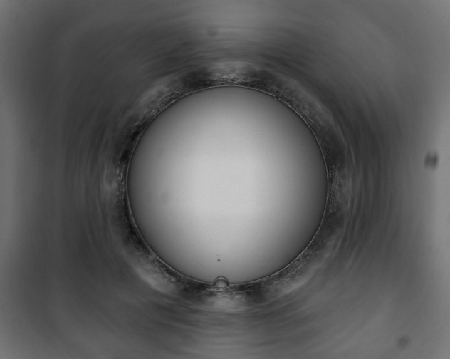 X0000101200601200807071316
