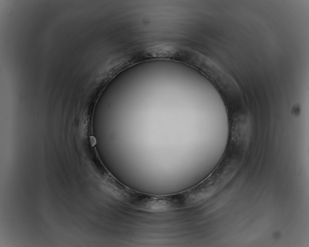 X0000101200604200807071316