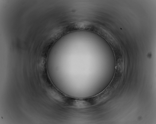 X0000101200605200807071316