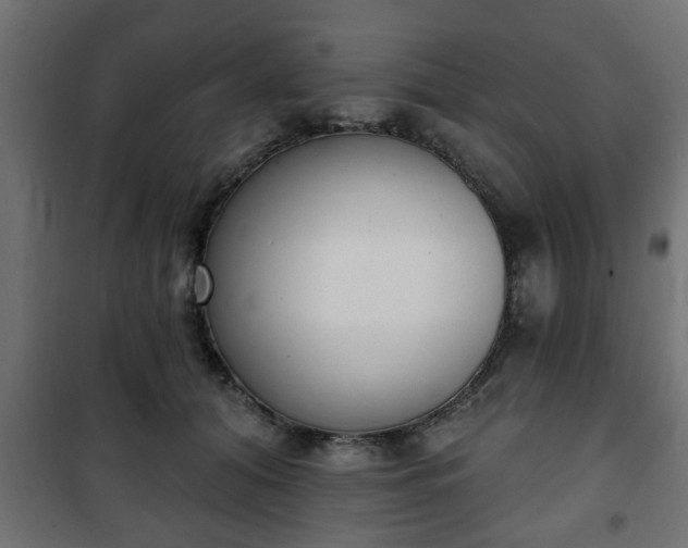 X0000101200608200807071316