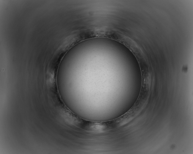 X0000101200610200807071316