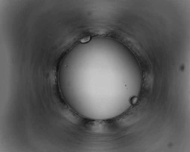 X0000101200612200807071316